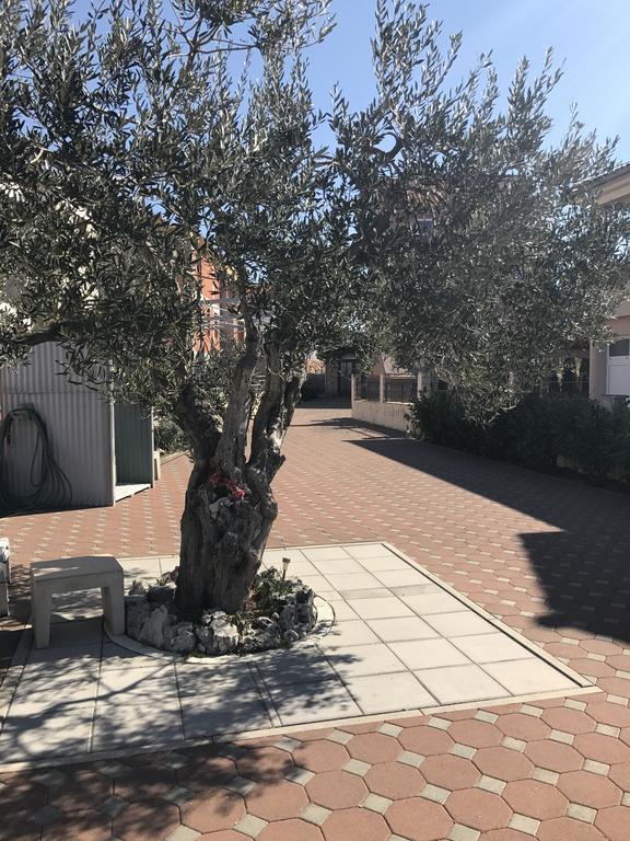 שיבניק Casa Dolcevita מראה חיצוני תמונה