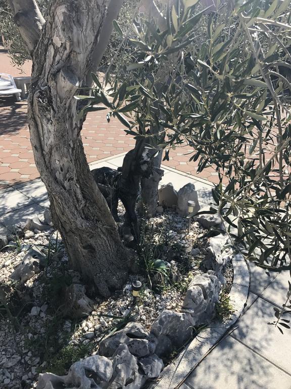 שיבניק Casa Dolcevita מראה חיצוני תמונה